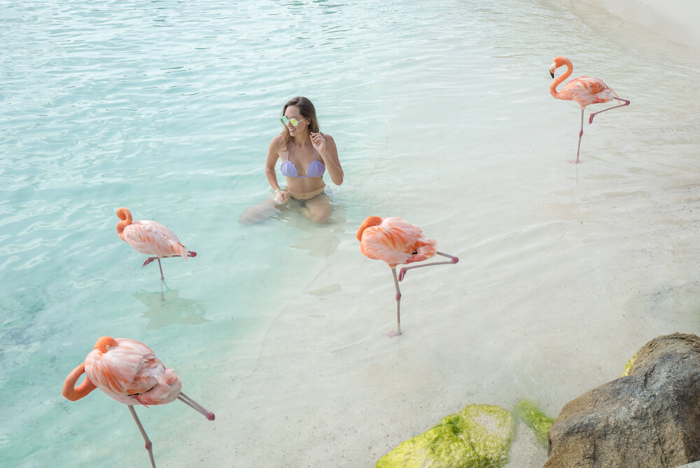 flamingo island aruba