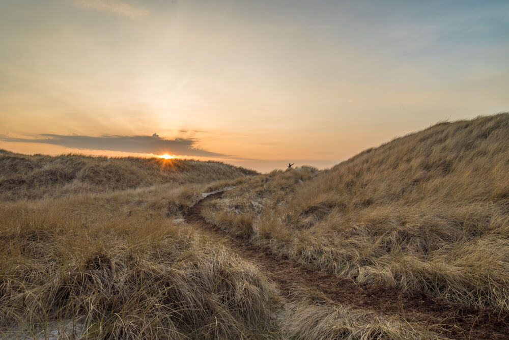 henne strand denmark