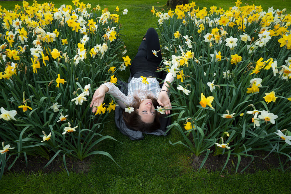 tulips in amsterdam