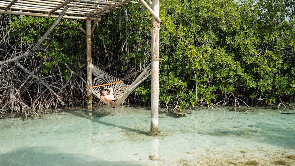 flamingo island aruba