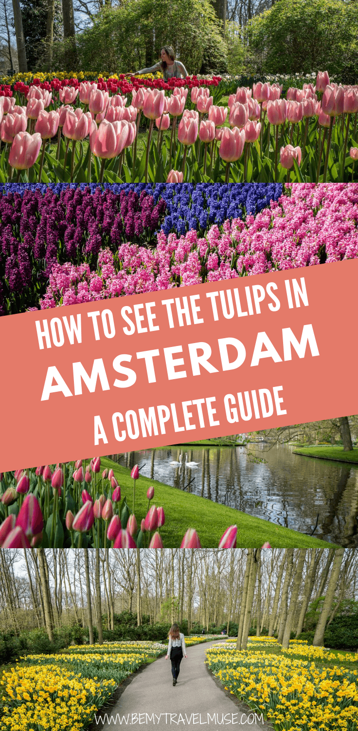 A visit to the Keukenhof is not to be missed if you find yourself in Amsterdam between late March and mid-May. Click to read a full guide to seeing the beautiful tulips in Amsterdam.