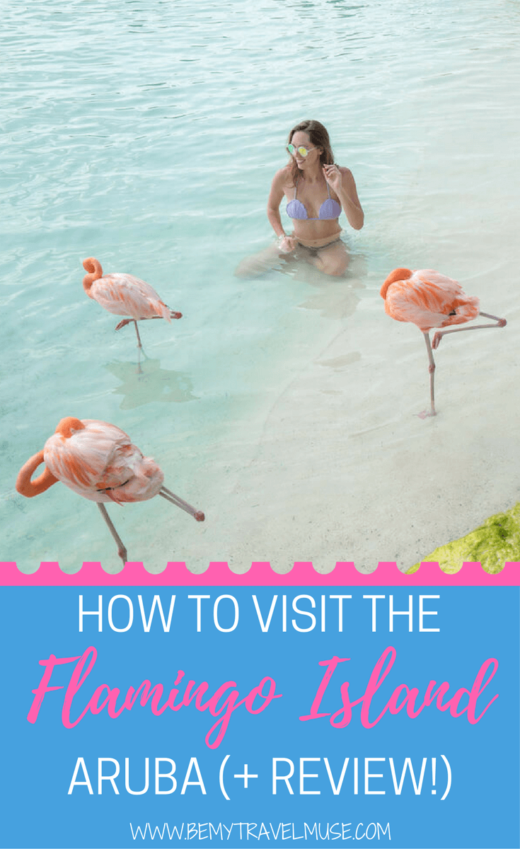 A full guide to visiting the Insta-worthy Flamingo Island, Aruba, and a full review on whether the island is worth the hype! Be My Travel Muse | Caribbean travel guide | Instagram worthy travel