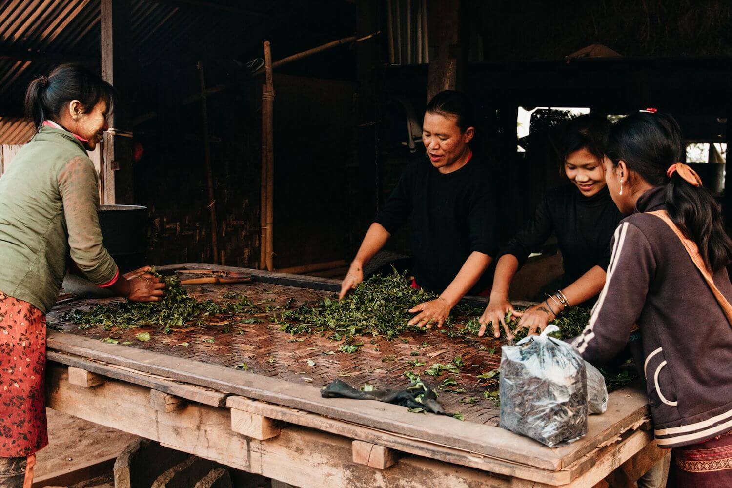 Best Myanmar Itinerary: Photo of Myanmar people in a small village in Shan state of Myanmar cleaning and sorting tea leaves. Photo by Ryan Brown of Lost Boy Memoirs, edited in Lightroom.