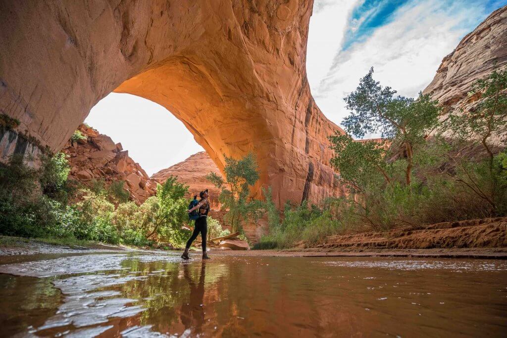 coyote gulch one day hike