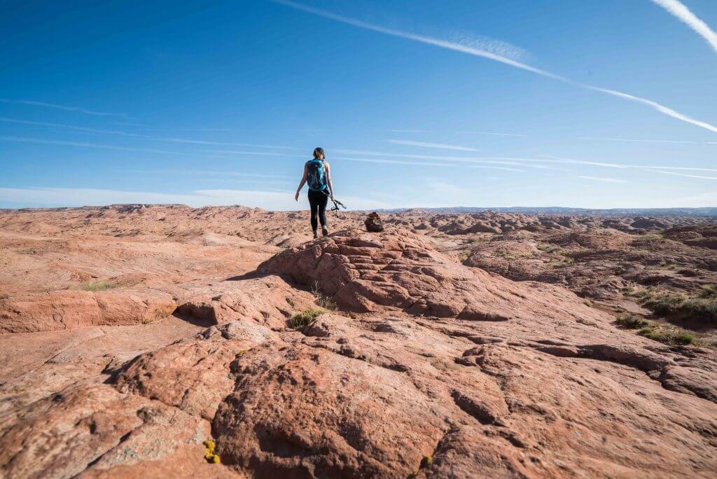 coyote gulch one day hike