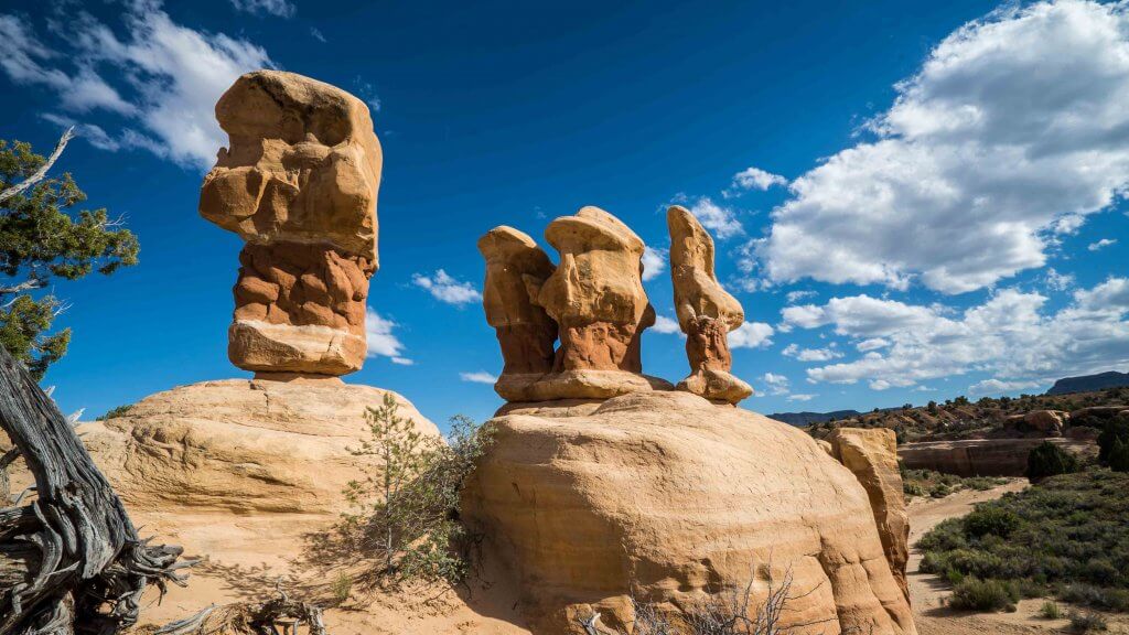 coyote gulch one day hike