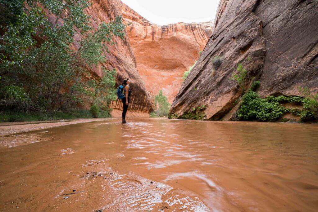coyote gulch one day hike
