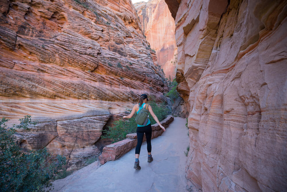 Observation Point vs. Angel's Landing in Zion, Which is Better?