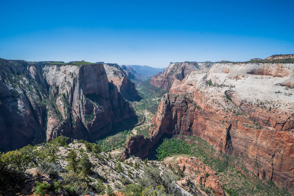 Observation Point vs. Angel's Landing in Zion, Which is Better?