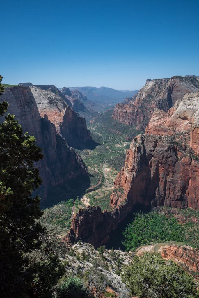 Observation Point vs. Angel's Landing in Zion, Which is Better?