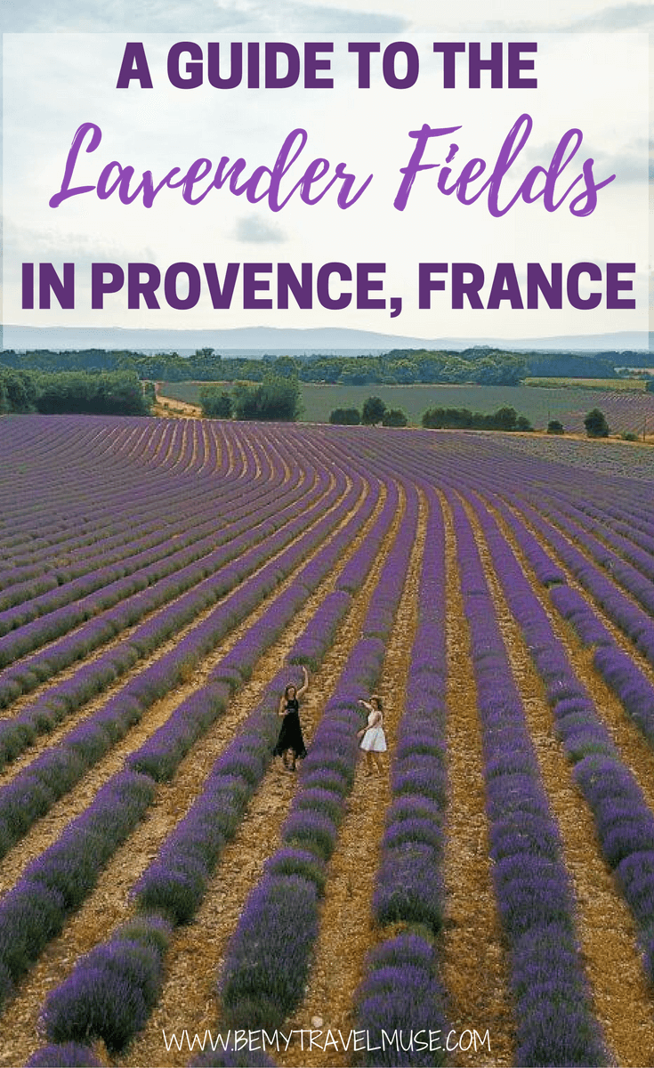 A beautiful, picturesque spot in France, the lavender fields in Provence is a must visit when you are in the romantic country. Here is a full guide to the Lavender Fields, and tips on how to get there, where to eat, and where to stay included | Be My Travel Muse | France travel tips | Girlfriend getaway ideas | Drone shots