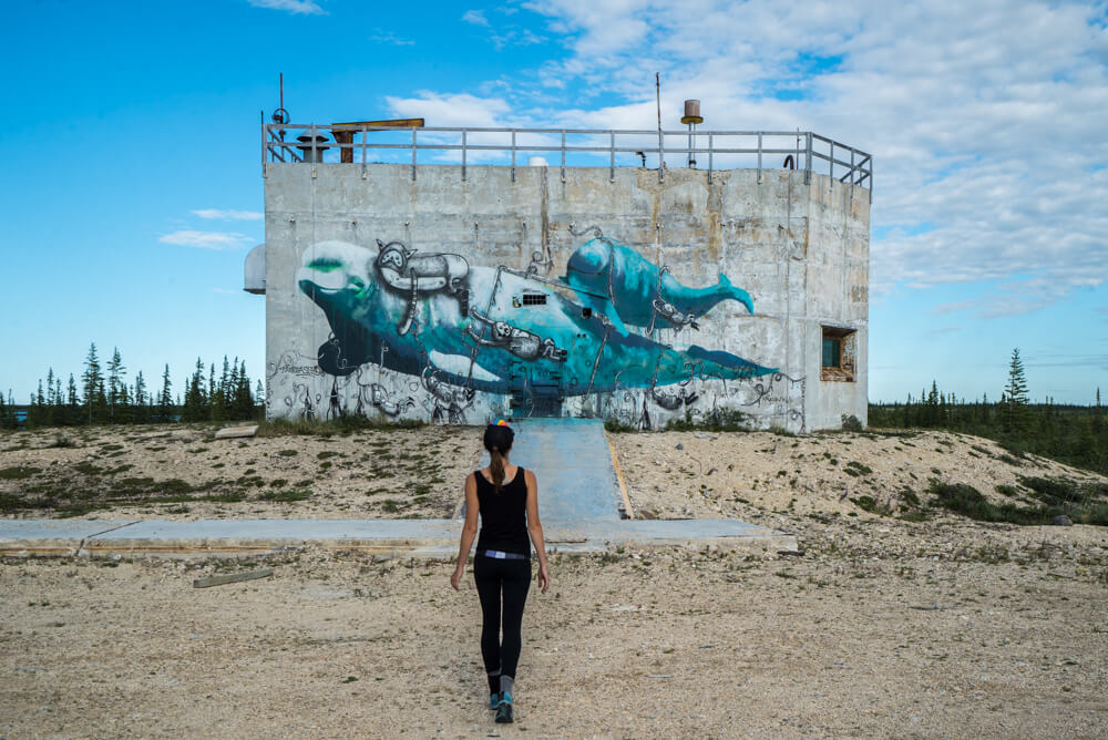 seawalls murals churchill