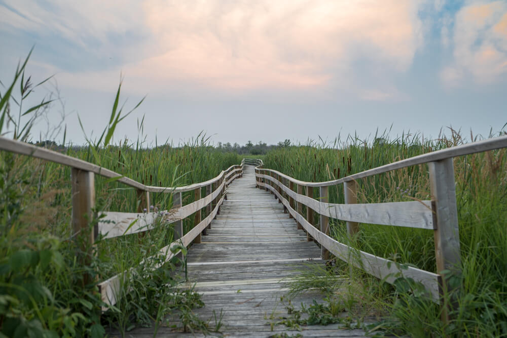 hecla island guide