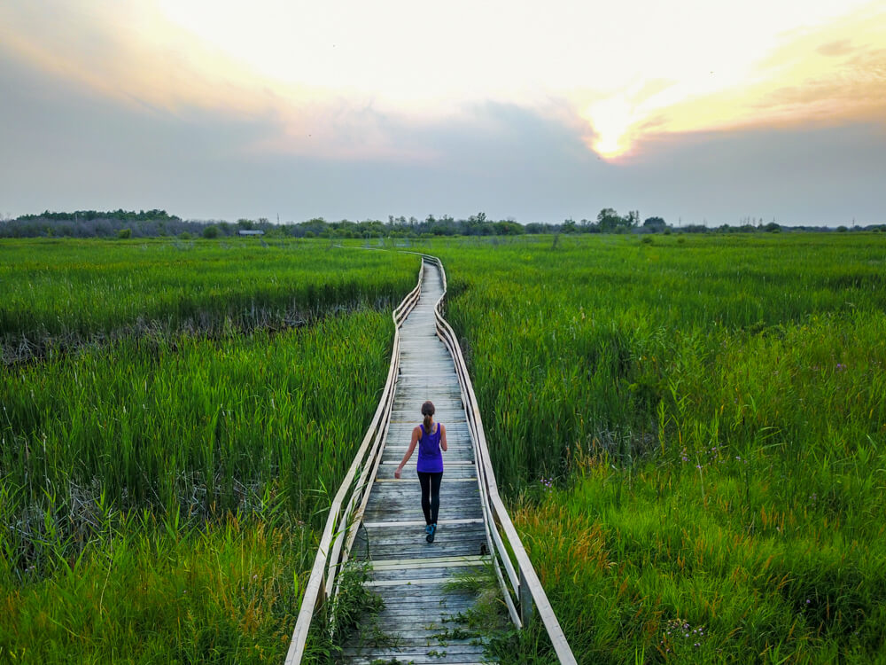 hecla island guide