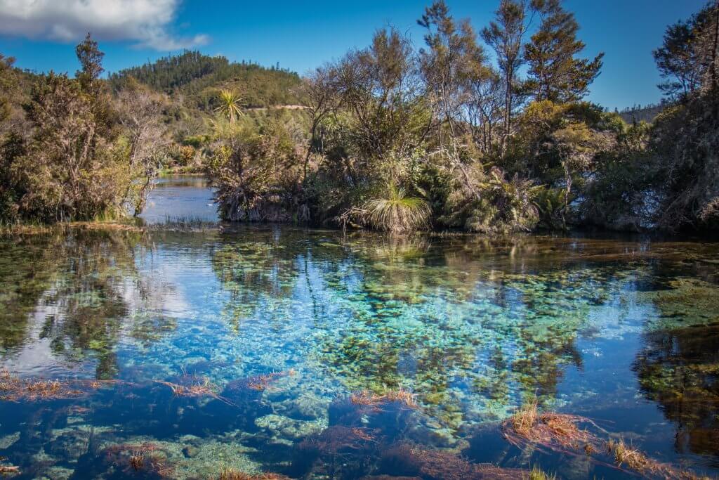 off the beaten path new zealand