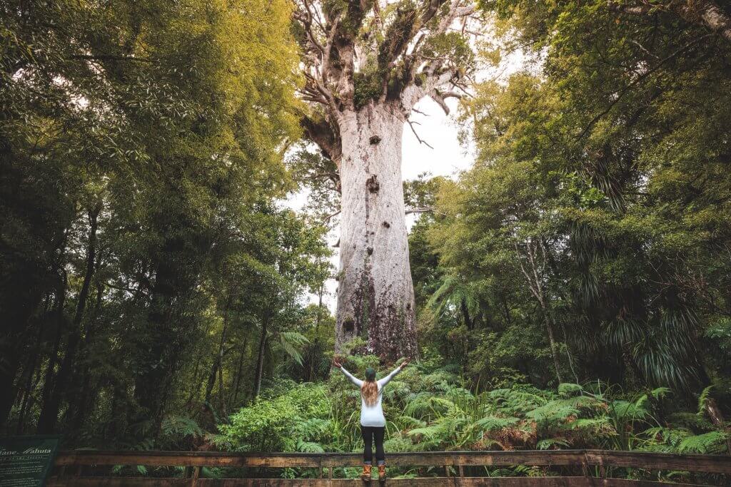 off the beaten path new zealand