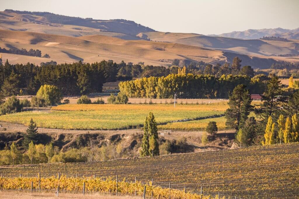 off the beaten path new zealand