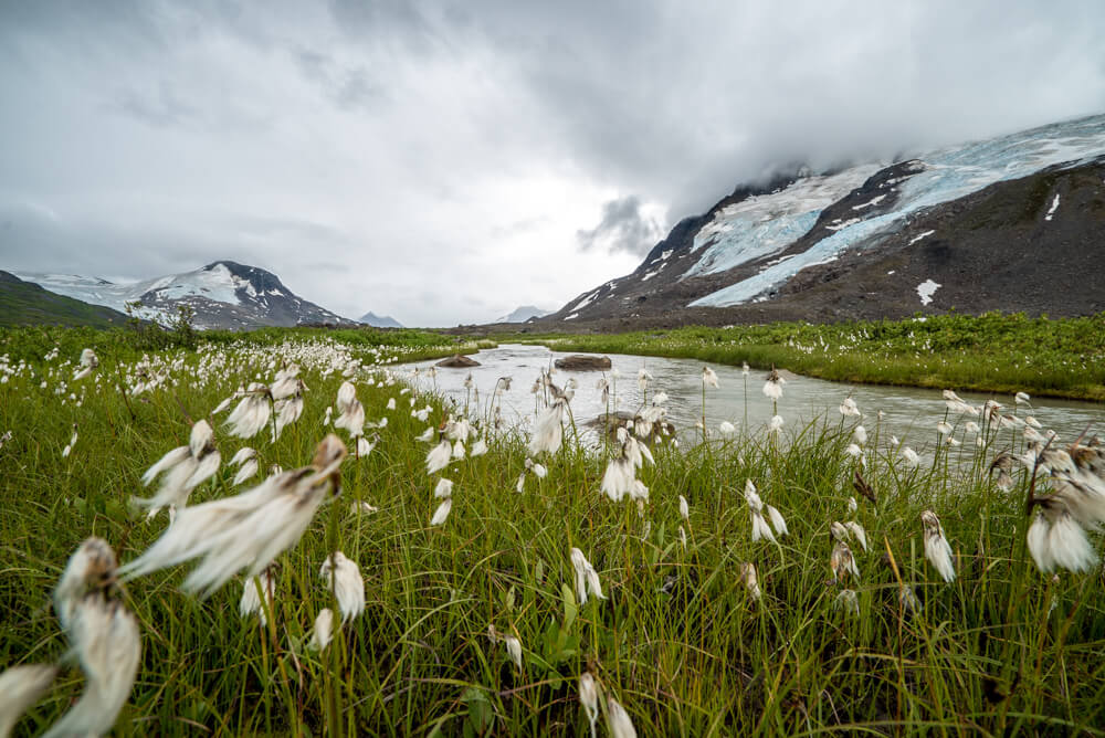 hiking in alaska