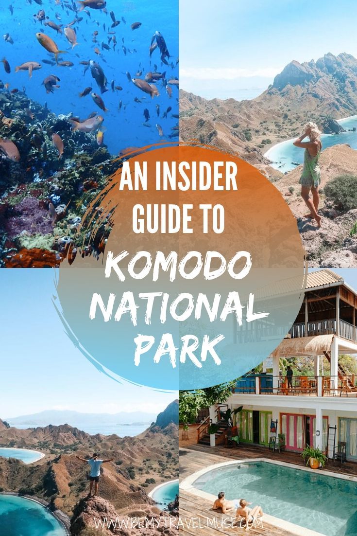 A complete guide to visiting the beautiful Komodo National Park in Flores, Indonesia #KomodoNationalPark #Indonesia