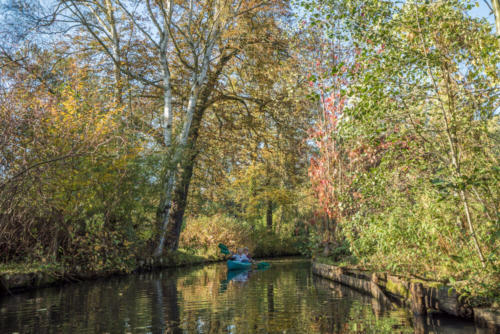 autumn in germany spreewald 