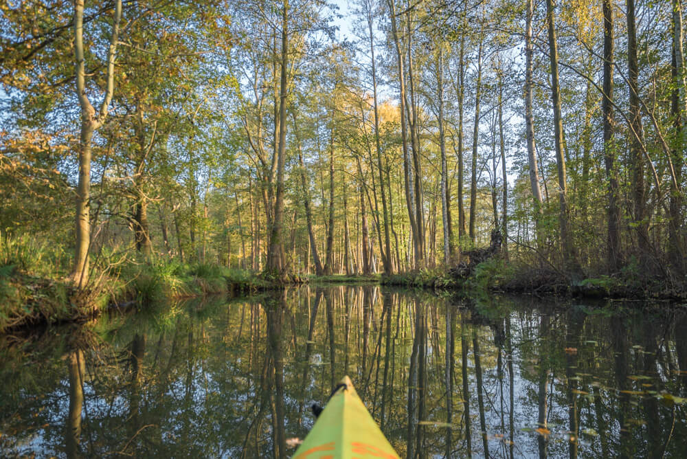 spreewald germany