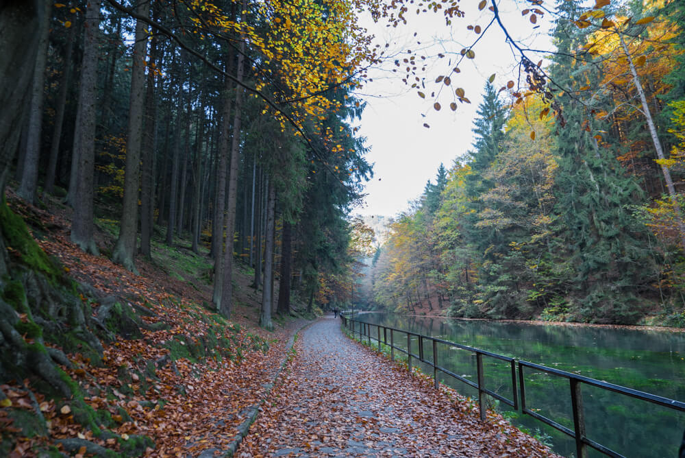 Saxon Switzerland guide