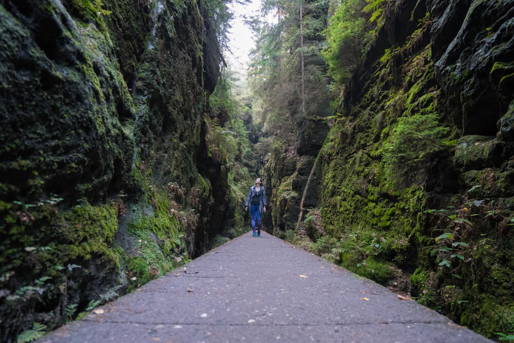 Saxon Switzerland guide