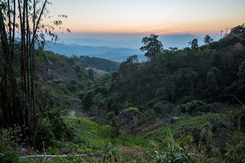 hiking doi luang chiang dao