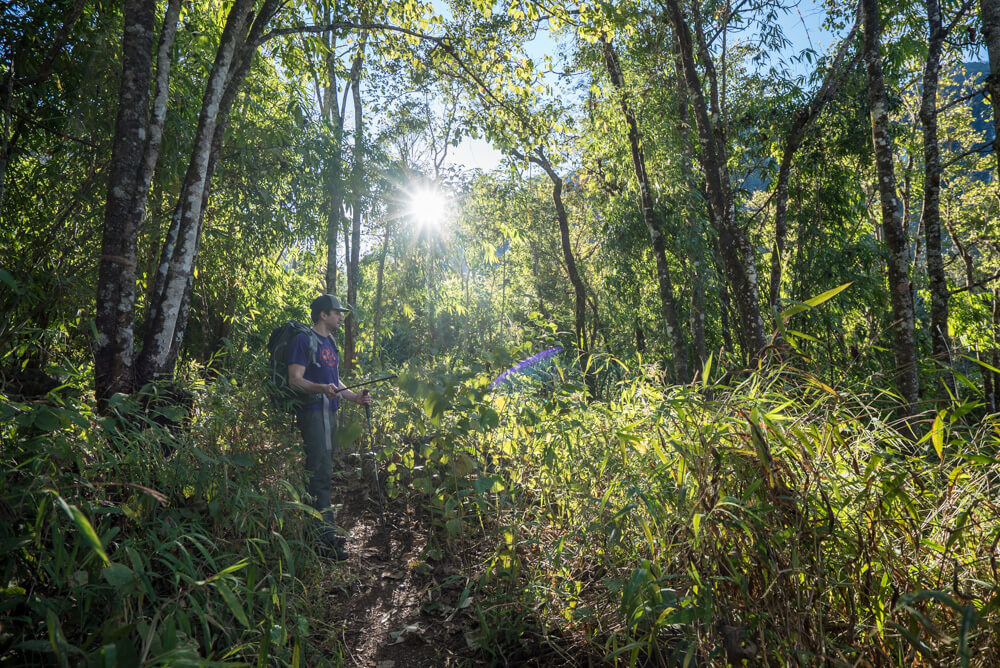 hiking doi luang chiang dao