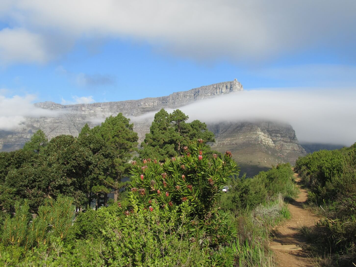 things to do cape town