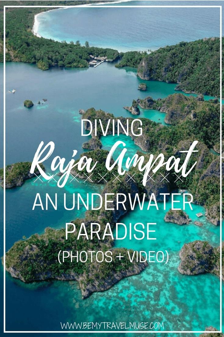 This has to be the best dive trip yet, and I have done more than 150 dives! Raja Ampat, an underwater paradise. See it for yourself (photos + video!) | Raja Ampat Islands | Diving Raja Ampat Indonesia |