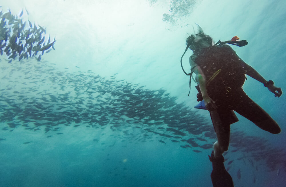 RAJA AMPAT