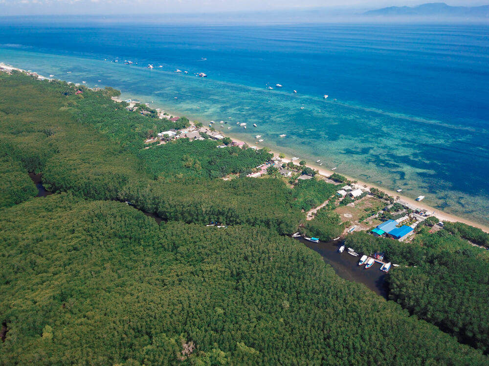 mangroves nusa lembongan