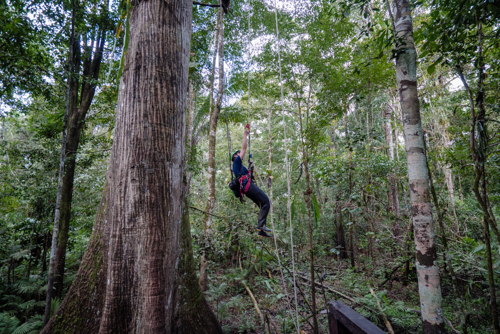 amazon peru