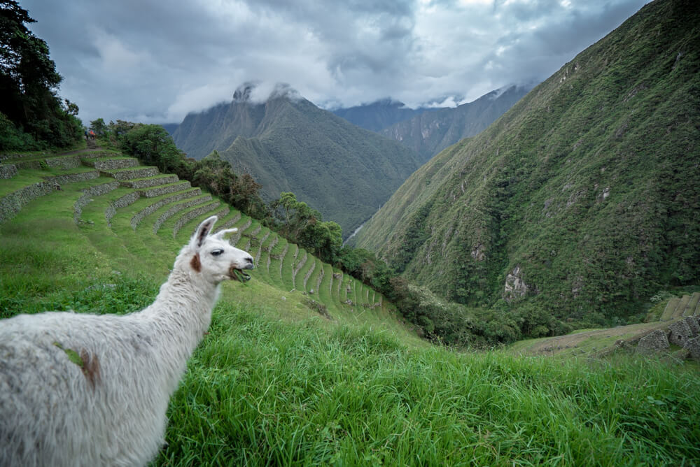 hiking inca trail