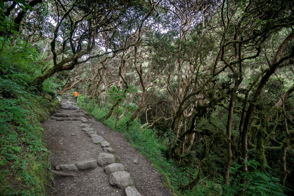 hiking inca trail