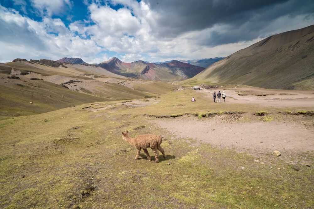 rainbow mountain peru