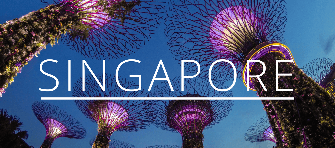 Singapore guide