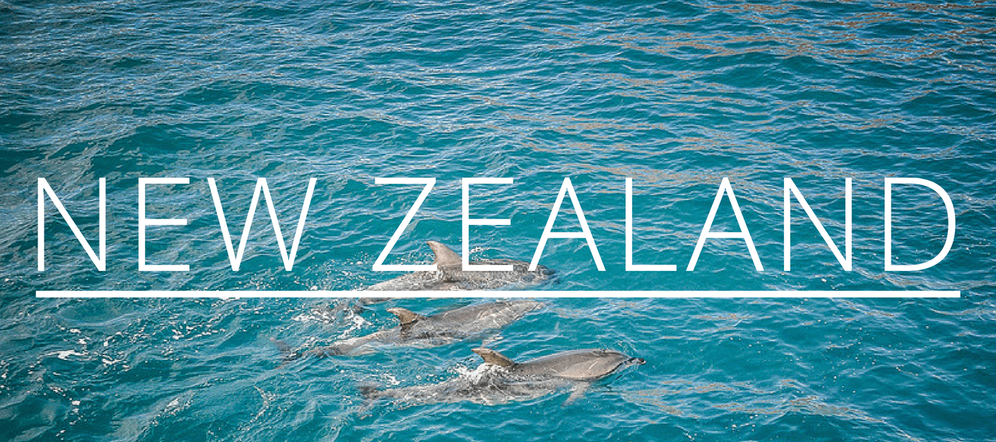 new zealand guide