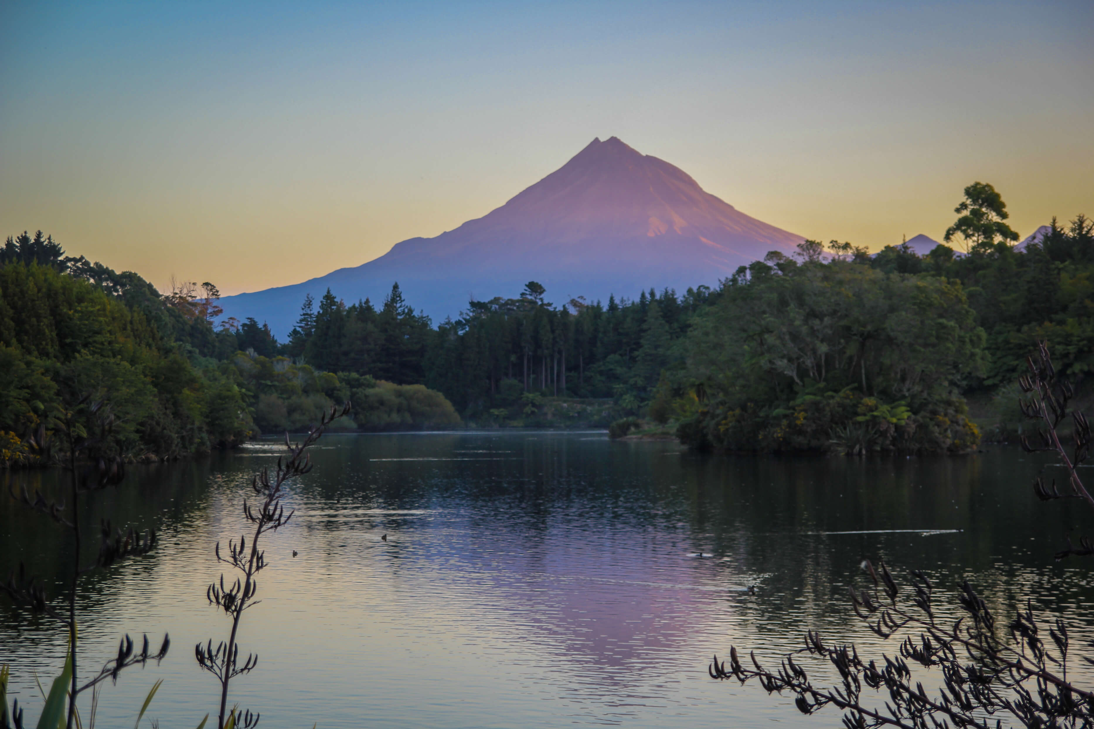 Taranaki