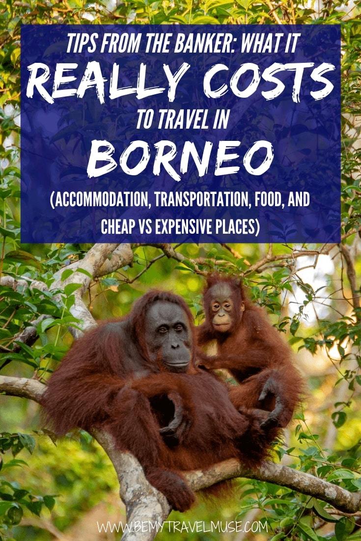 An honest breakdown on the cost of traveling Borneo, from accommodation, transportation, food to other expenses. This article will help you plan the best trip to Borneo! #Borneo #BorneoTravelTips