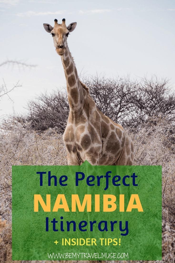 Namibia is one of the best African countries to travel in. Here's an awesome Namibia itinerary with all of the best stops, accommodation guides, and hiking information that will help you plan your trip. Click to read more! #Africa #Namibia