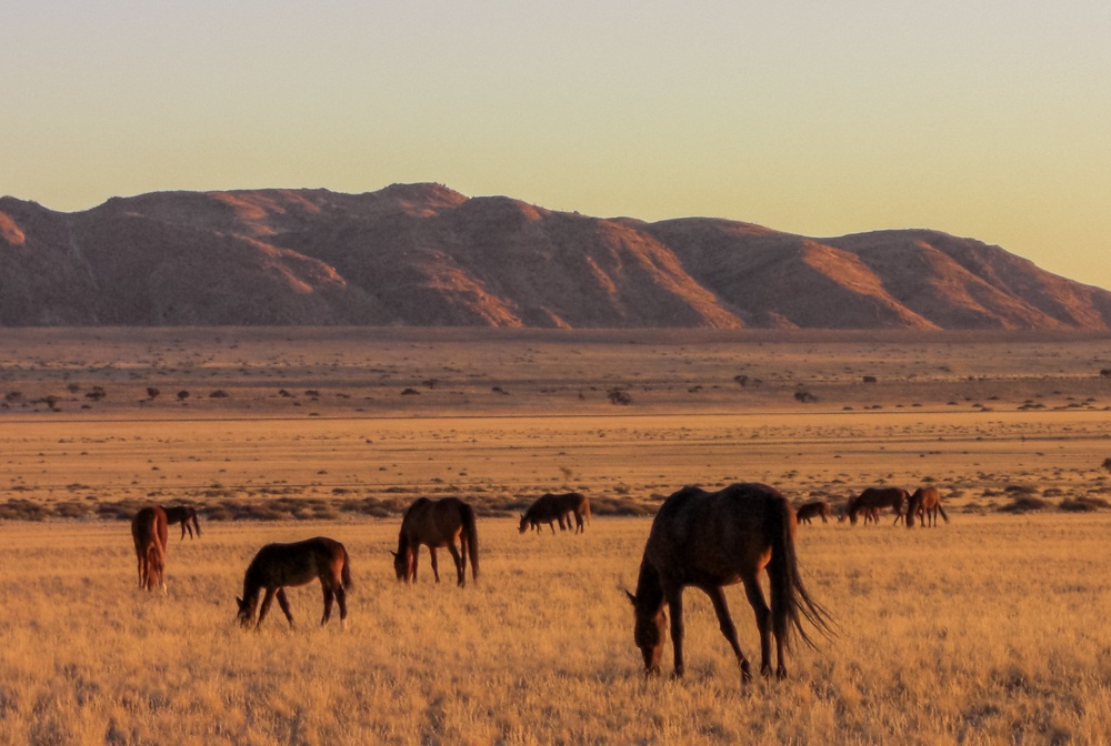 namibia road trip