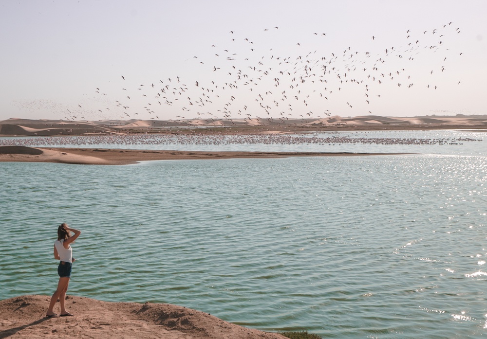 namibia road trip