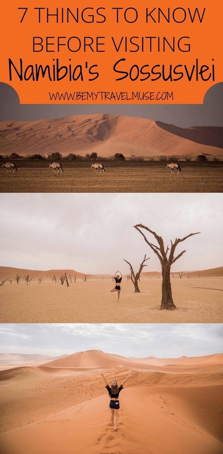 Here are 7 things you need to know before visiting Sossusvlei, Namibia. Essential information such as the best places to go, best time to visit, and accommodation guide included. Check it out!