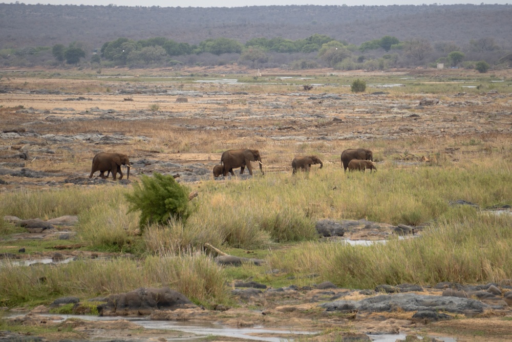 The Perfect South African Road Trip