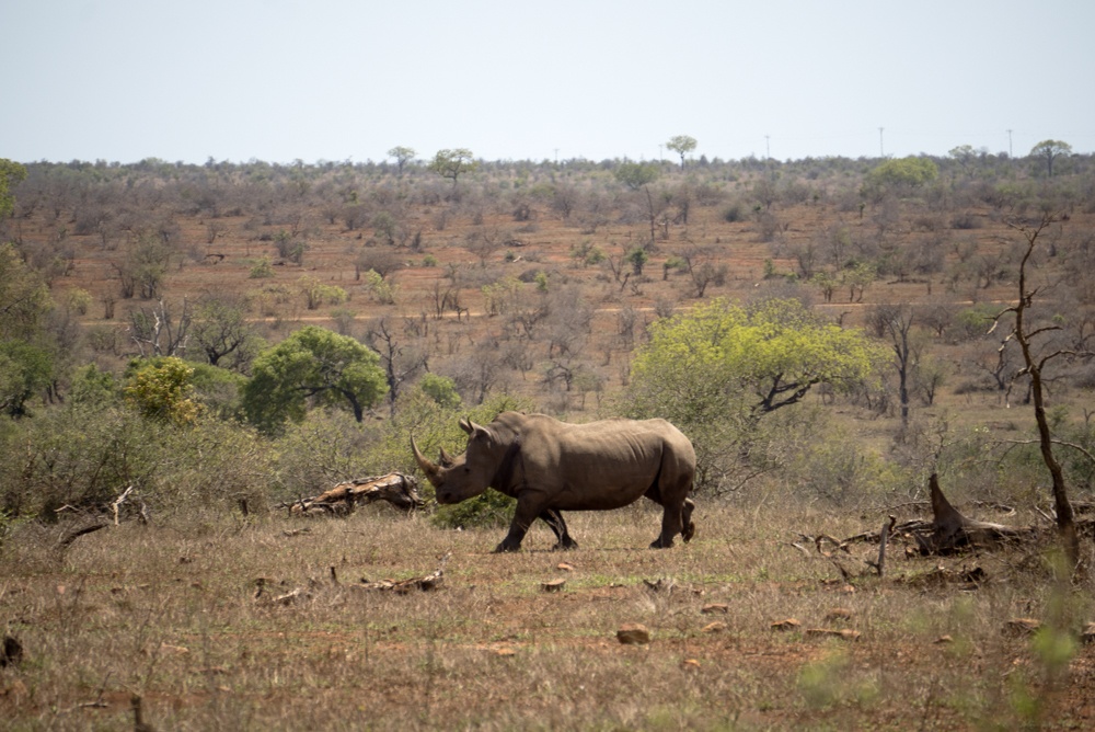 south africa road trip