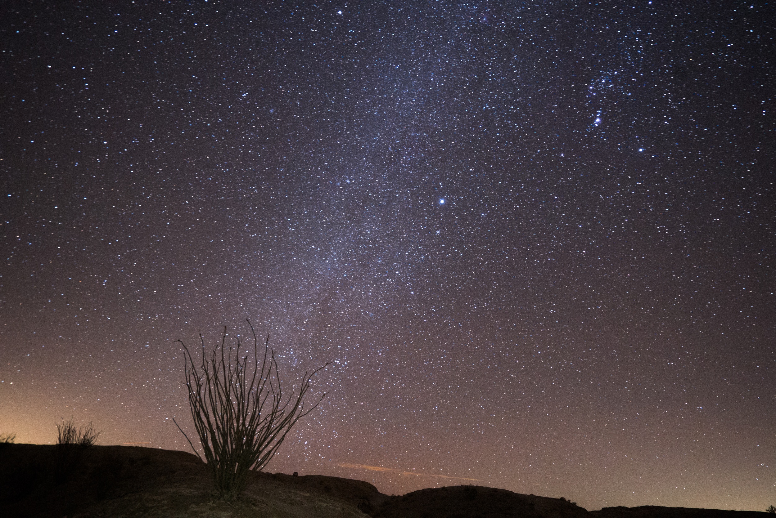 anza borrego