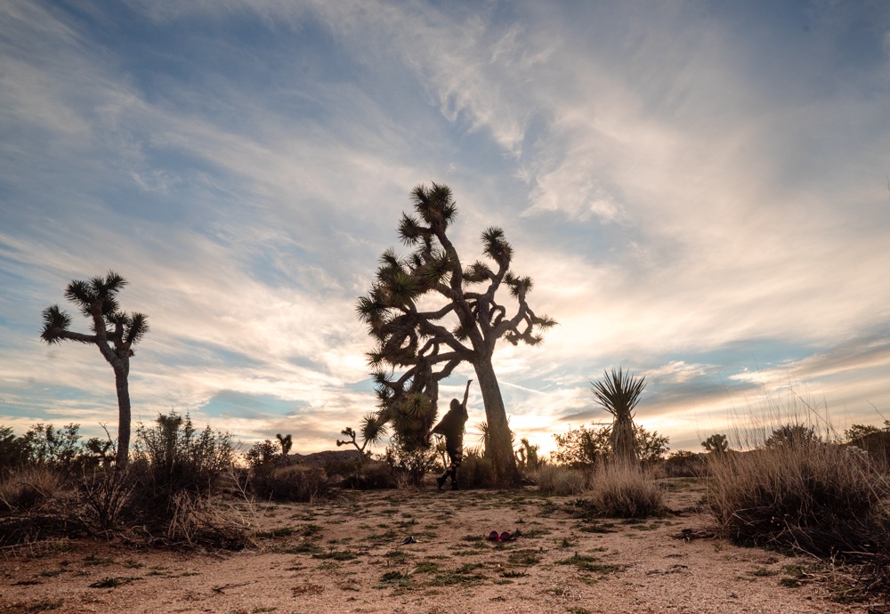 desert road trip