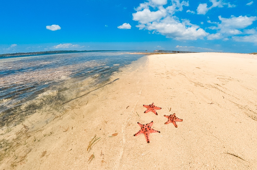 honda bay palawan